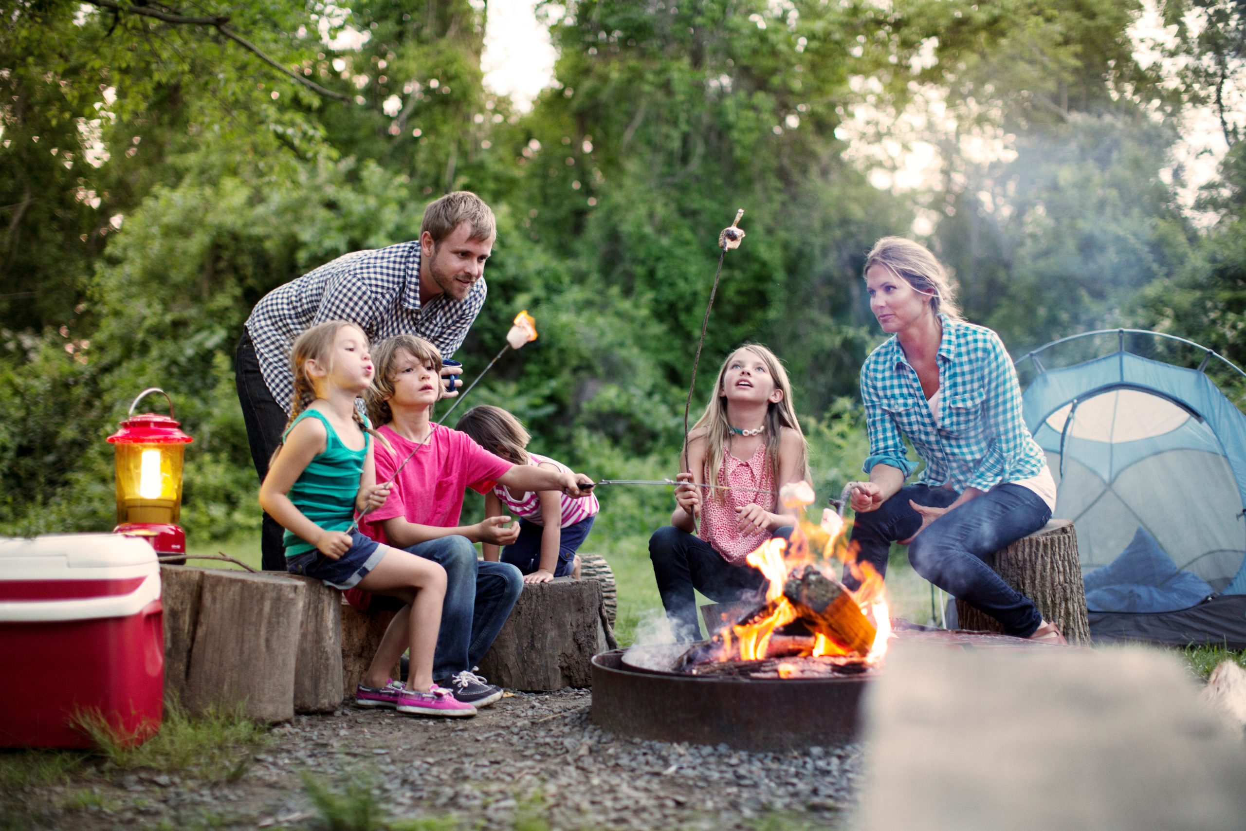 Family roasting marshmallows while camping in forest